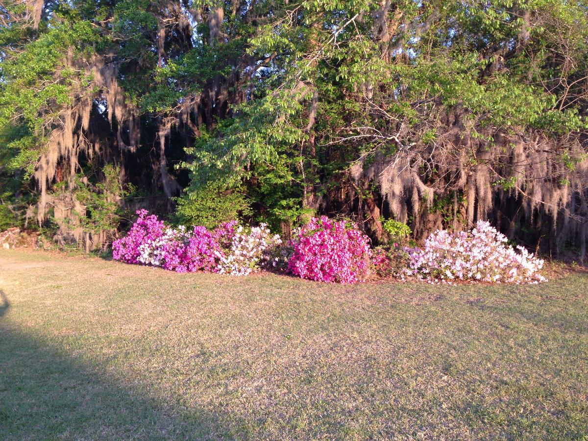 Dublin Farm Bed & Breakfast Exterior photo
