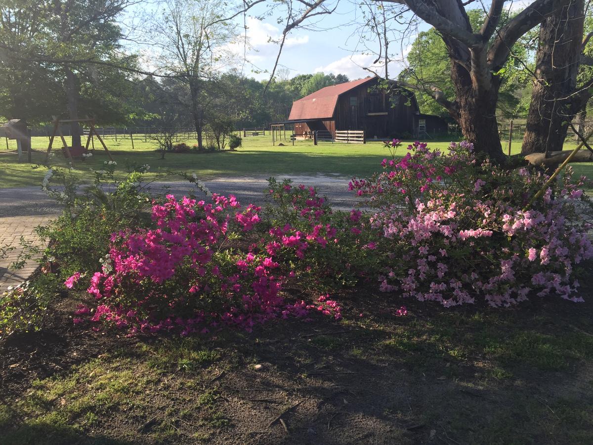 Dublin Farm Bed & Breakfast Exterior photo